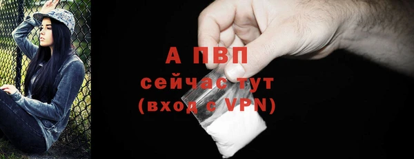 дмт Гусь-Хрустальный