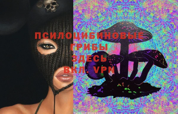 дмт Гусь-Хрустальный
