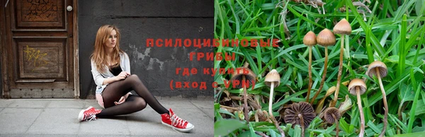 ешки Елизово